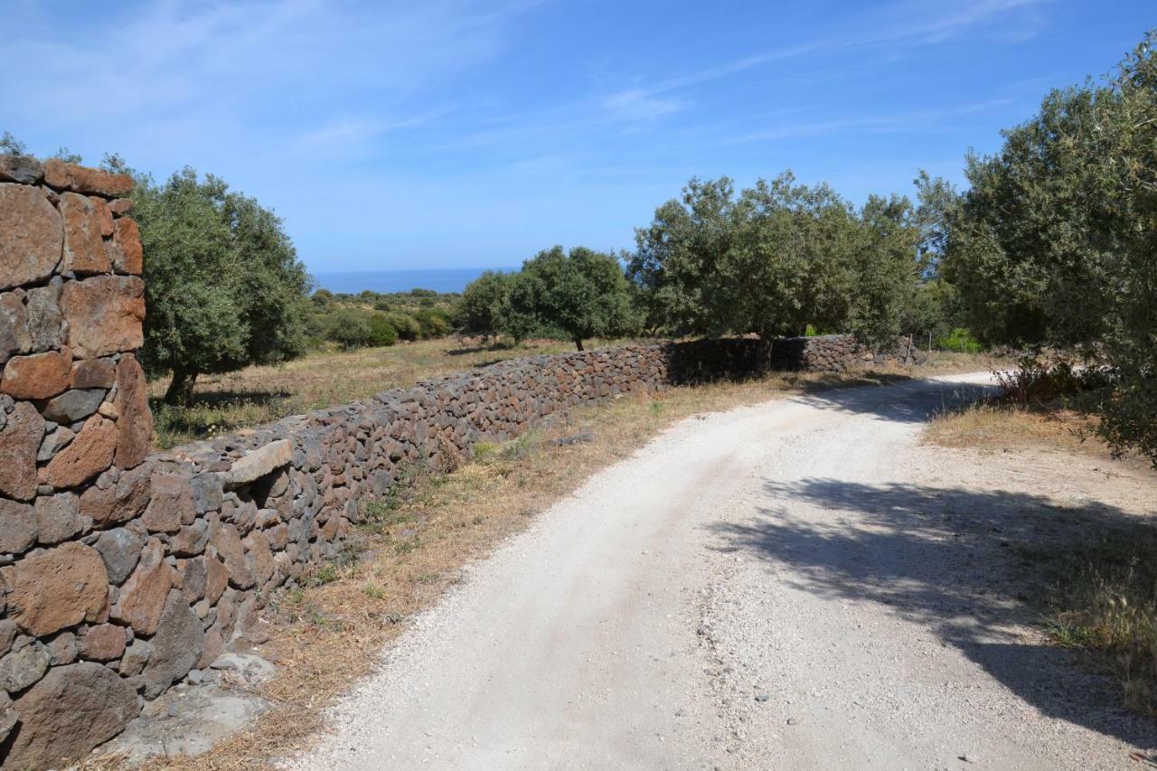 Casa Indipendente Immersa Nel Verde Con Vista Mare Dorgali Dış mekan fotoğraf