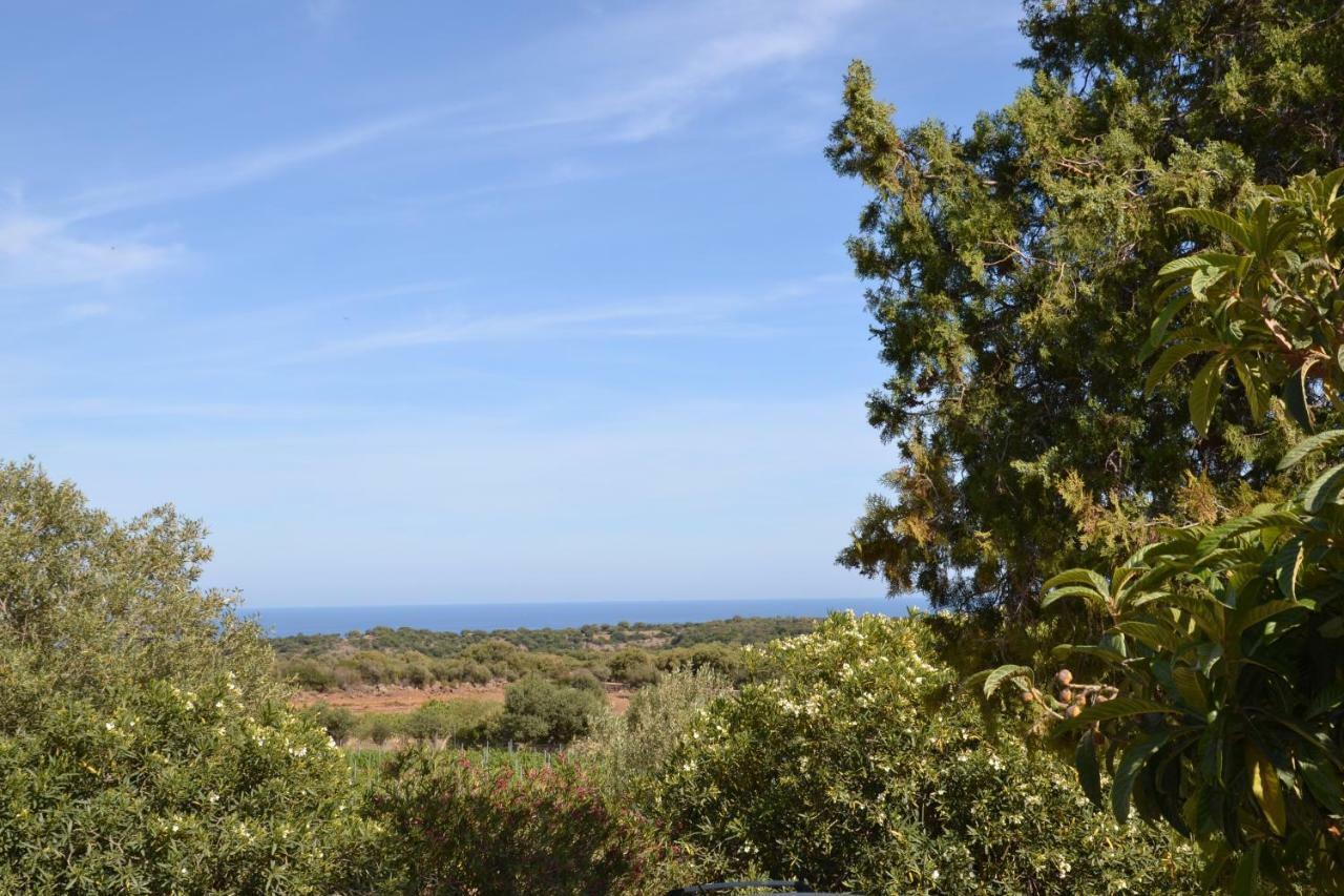 Casa Indipendente Immersa Nel Verde Con Vista Mare Dorgali Dış mekan fotoğraf